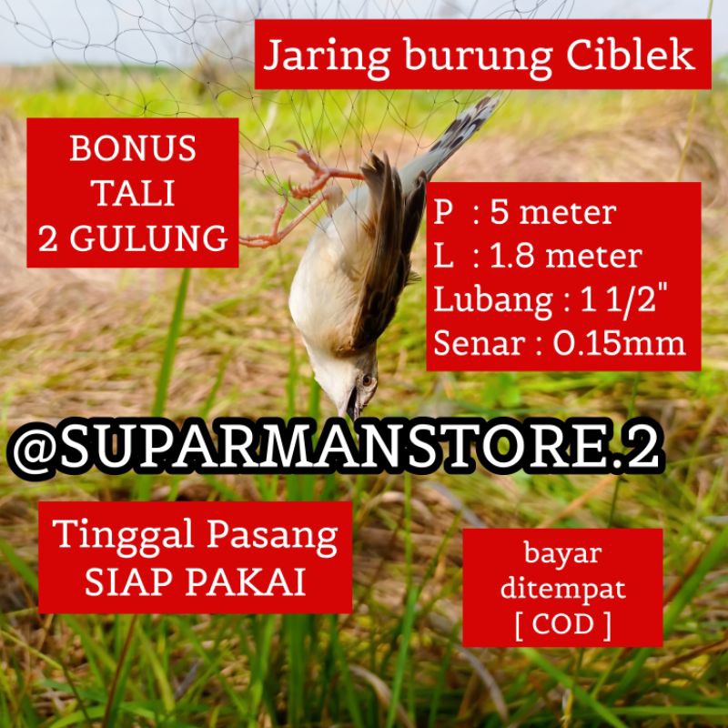 JARING BURUNG CIBLEK 5 METER JARING BURUNG CIBLEK SIAP PAKAI JALA BURUNG TERLARIS JARING BURUNG KECI