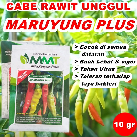 Benih Cabe Rawit Maruyung Plus 1 Gram Bibit Cabai Unggul MMT