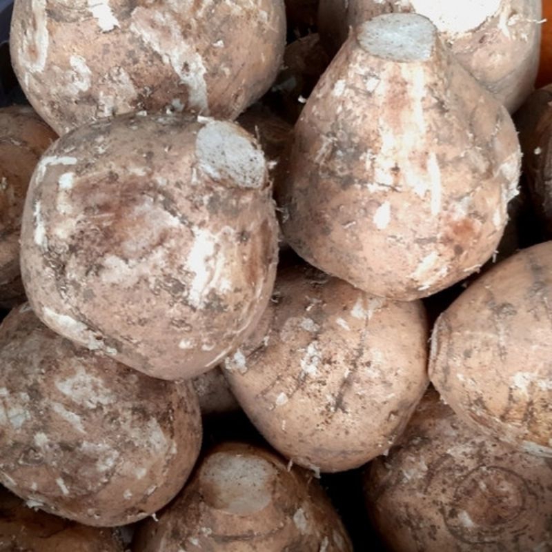 

RB Buah Bengkoang per 1 kg