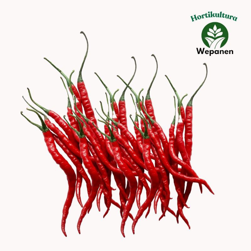 

Kirim instant Cabai Kriting merah 1Kg