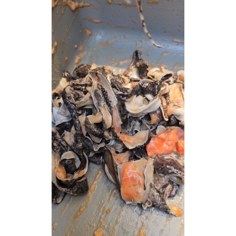 

Kulit Salmon potongan/ sesetan kulit Salmon