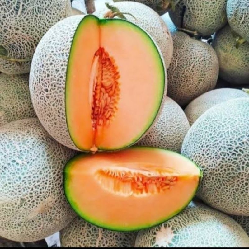 

MELON ORANGE 1KG-1,5KG