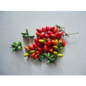 

Melinjo 50gr