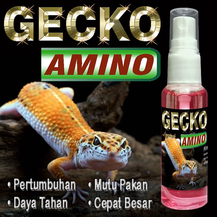 GECKO AMINO SUPLEMENT FOOD REPTILE LEOPARD GEKO LEOPARD GECKKO WHEELERI SUNGLOW TANGERINE CRESTED AF