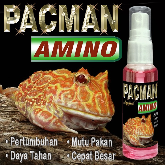 PACMAN AMINO VITAMIN REPTILE KODOK KATAK FROG  PAKMAN STRAWBERRY GREEN REPTILE AMPHIBI OBAT FOOD SUP