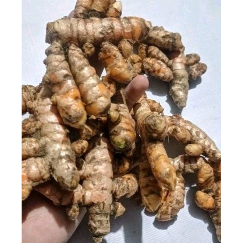 

kunyit/ kunir kuning 1kg