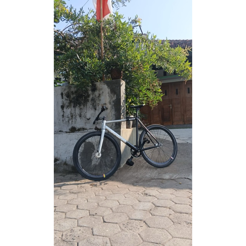 Fixie Full Bike Frame Custom SKREAM