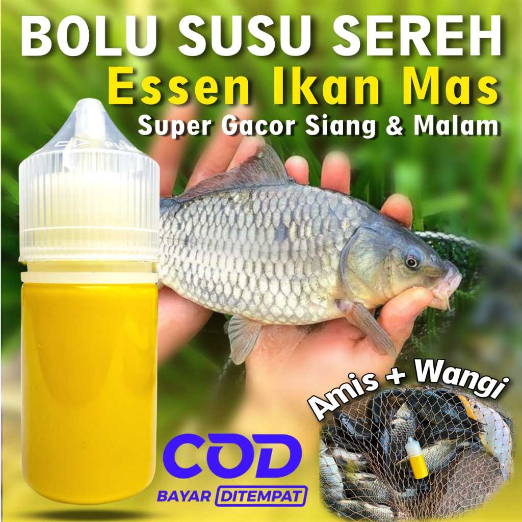 Essen Ikan Mas Paling Gacor, Essen Ikan Mas Amis Wangi Gurih, Essen Ikan Mas Kilogebrus, Essen Ikan 