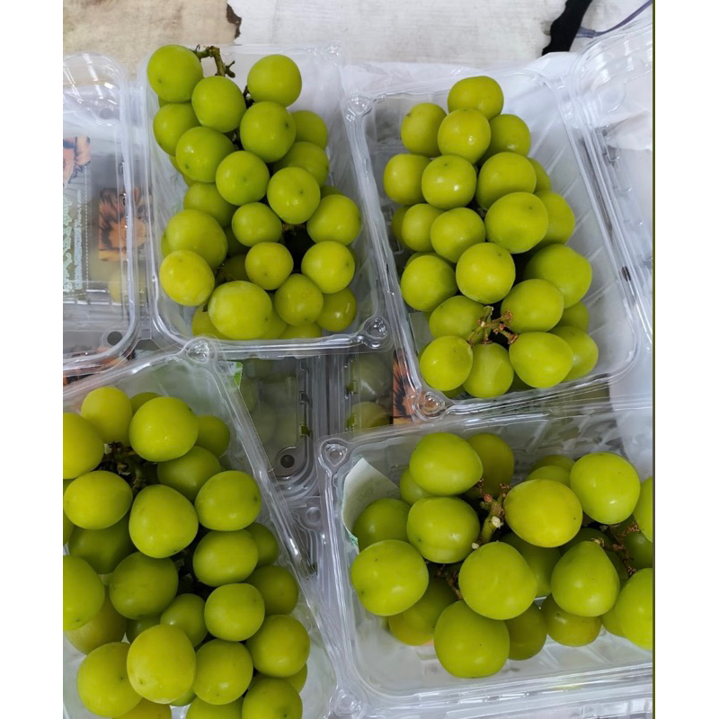 

anggur muscat 500garm merek sesuai di poto