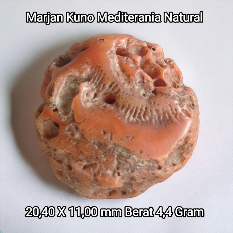 Natural Marjan Laut merah asli Marjan kuno lawasan