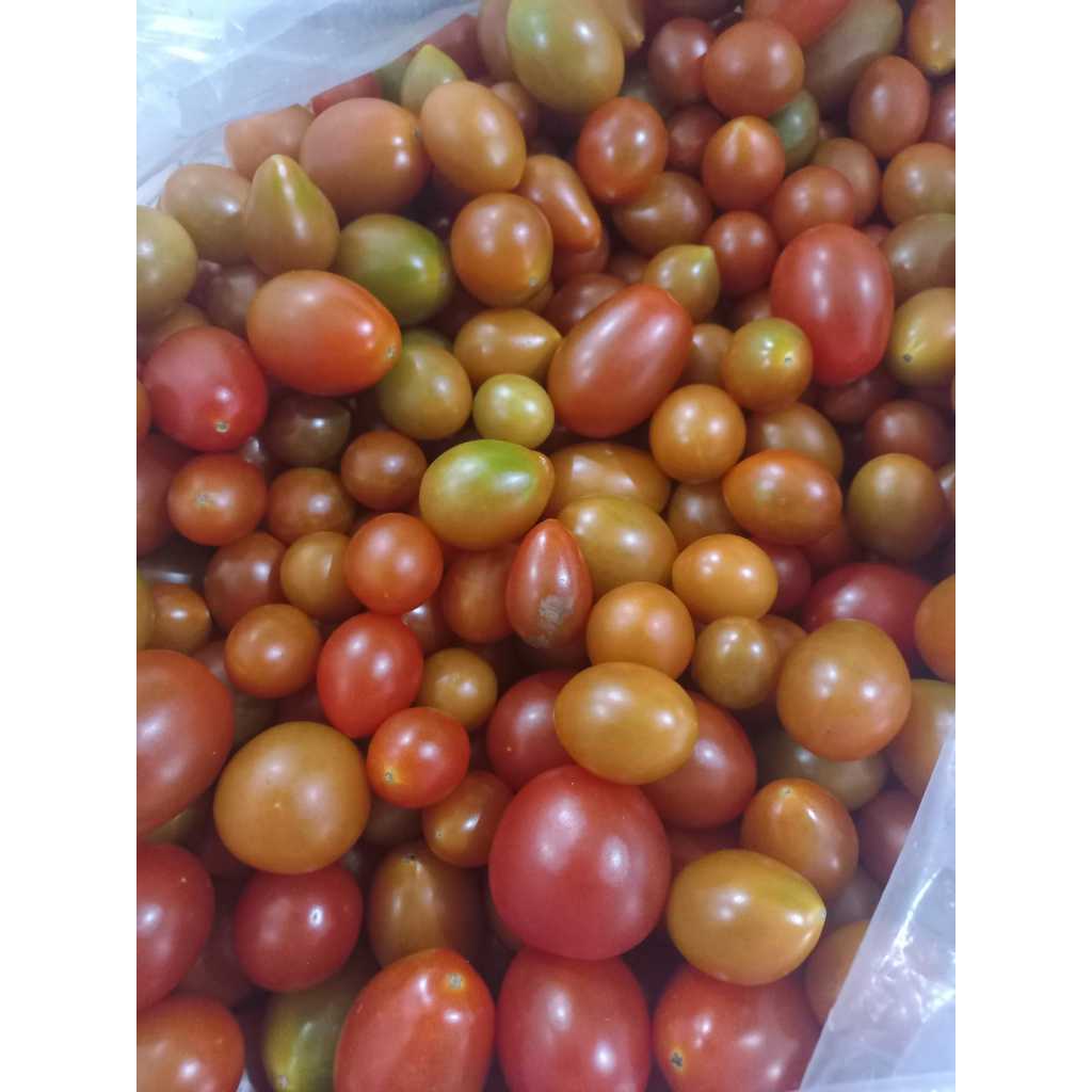 

cherry tomato. tomat mini baby. tomat. fresh kecil. tomat cherry