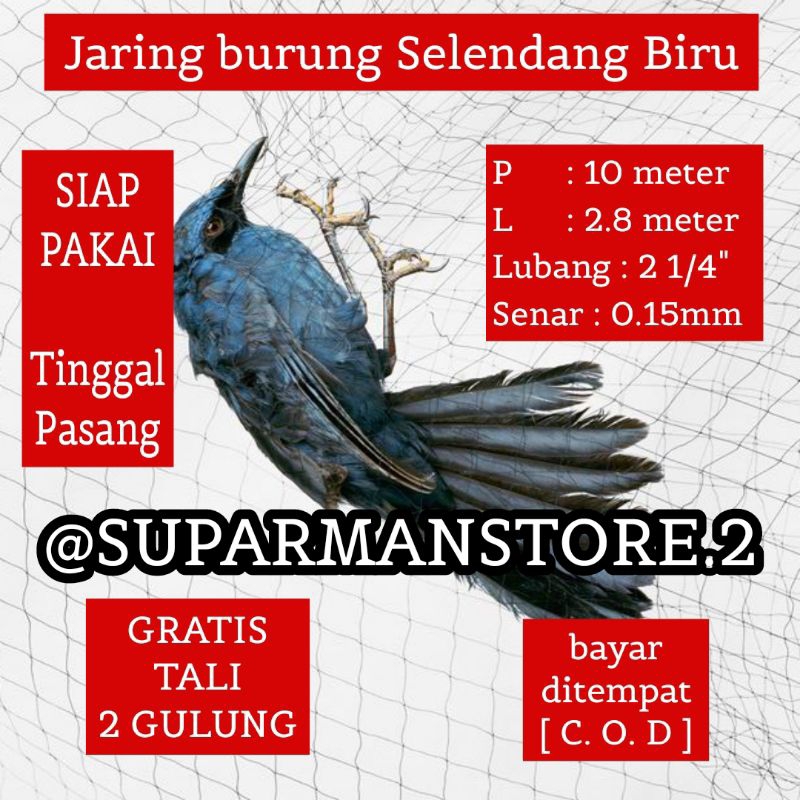 JARING BURUNG SELENDANG BIRU 10 METER JARING BURUNG SELENDANG BIRU 10X3M JALA BURUNG JEBAKAN BURUNG 