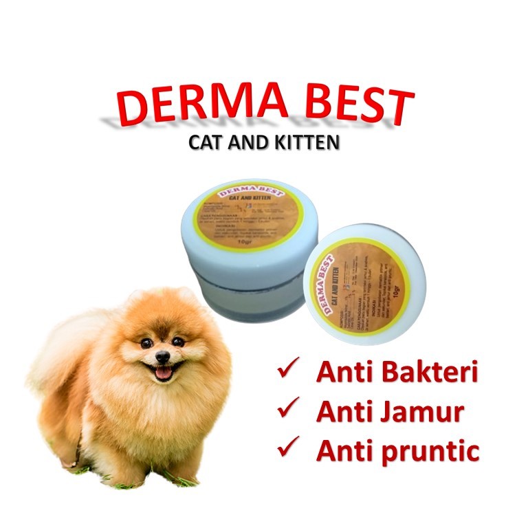 saleb jamur kucing / derma salep kucing / saleb kucing / salep kucing jamur scabies