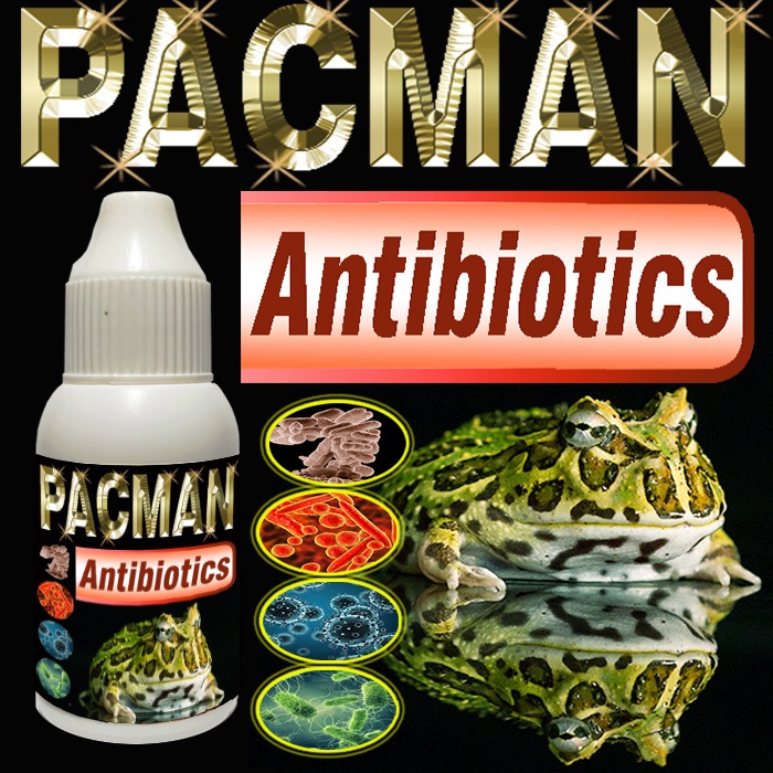 PACMAN ANTIBIOTIK SUPLEMEN MULTIVITAMIN KODOK KATAK FROG  PAKMAN STRAWBERRY GREEN REPTILE AMPHIBI VI