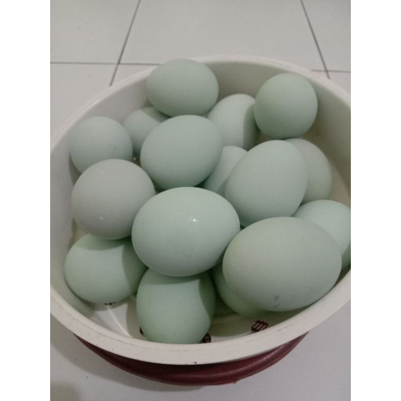 

Telur asin khas Brebes