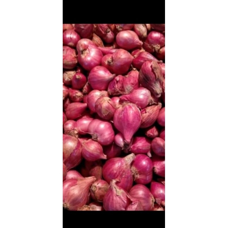 

bawang merah brebes