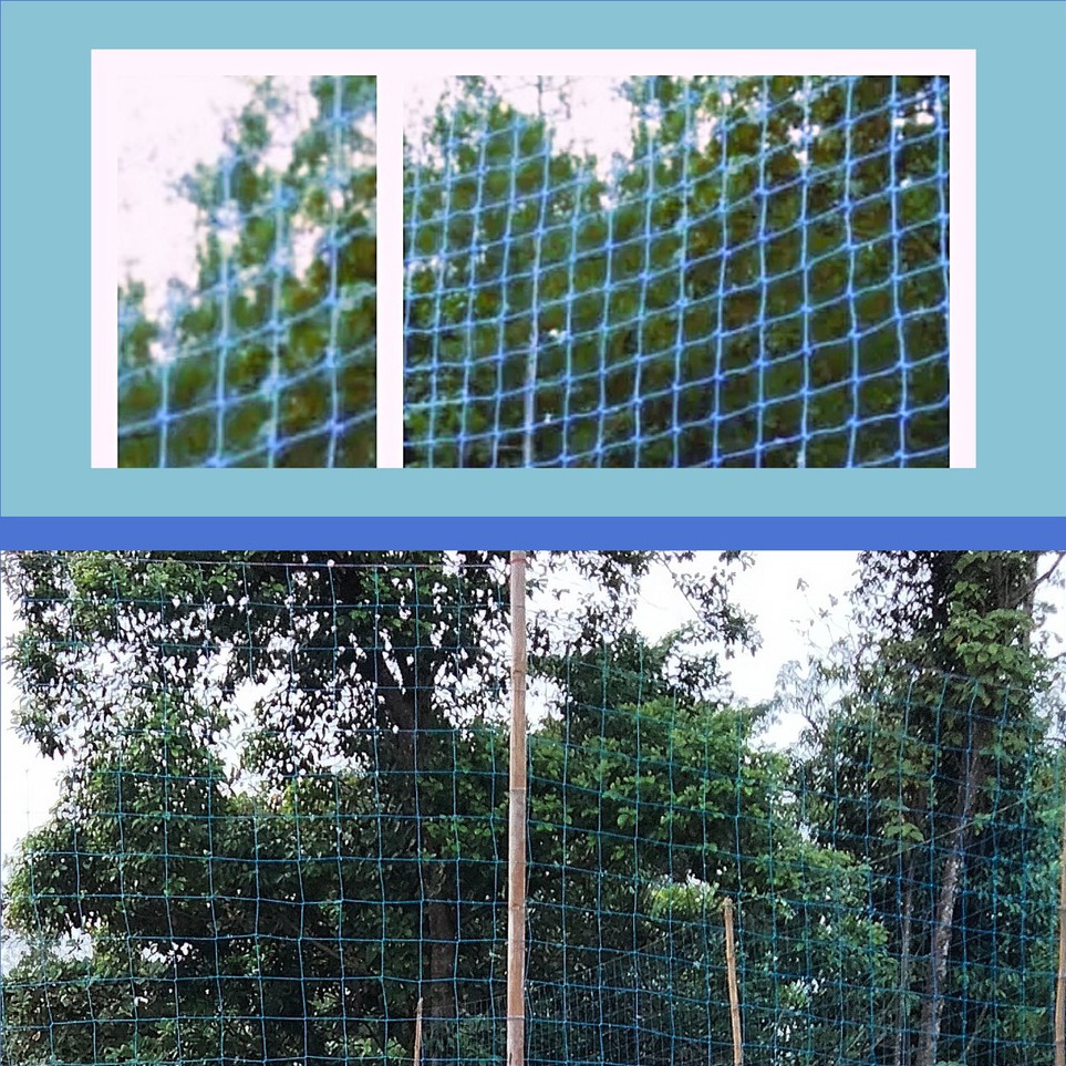 KODE V37U Jaring Pengaman Voli Jaring Pagar lapangan Voly 2mm Jaring Lapangan Volly 2mm