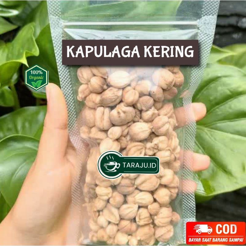 

100gr Kapulaga Jawa Tanpa Pemutih/Kapulaga jawa 100gram/True Cardamom/Kapolaga kering