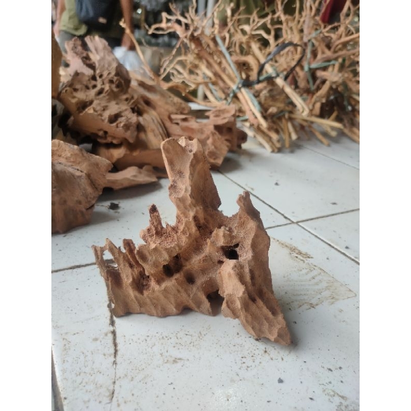 kayu rentek size s aquascape