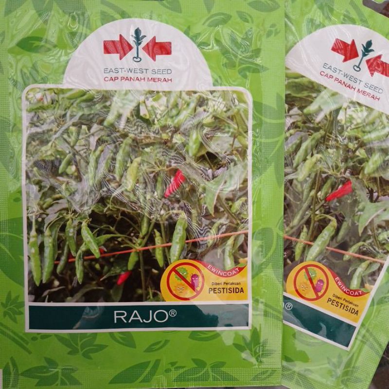 Benih Cabe Rawit Hijau RAJO 350 Butir Cap Panah Merah