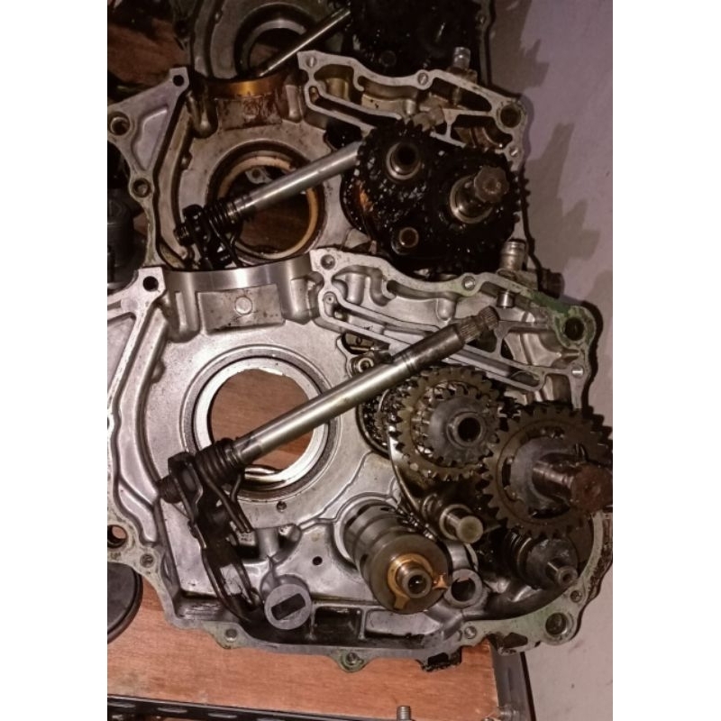 rasio tiger revo rasio tiger lama original gigi rasio original