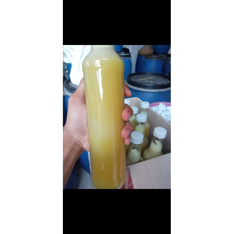 

madu kaliandra botol kecil [-+150ml], madu asmaan mujarrab, madu bendo, madu lebah Melliefera
