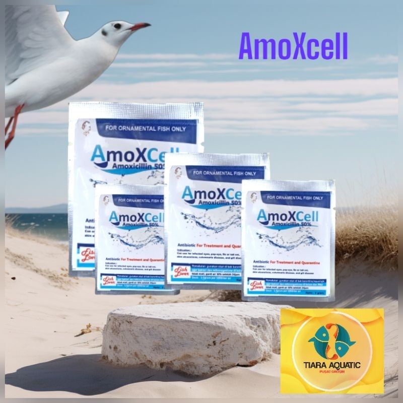 AmoXcell obat ikan sakit Karantina ikan koi