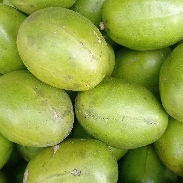 

Buah kedondong / dondong