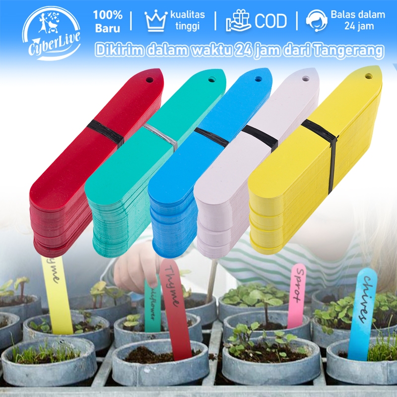 100pcs Label Tanaman Label Anggrek Name Tag Tanaman Papan Nama Tanaman Thick With Hole