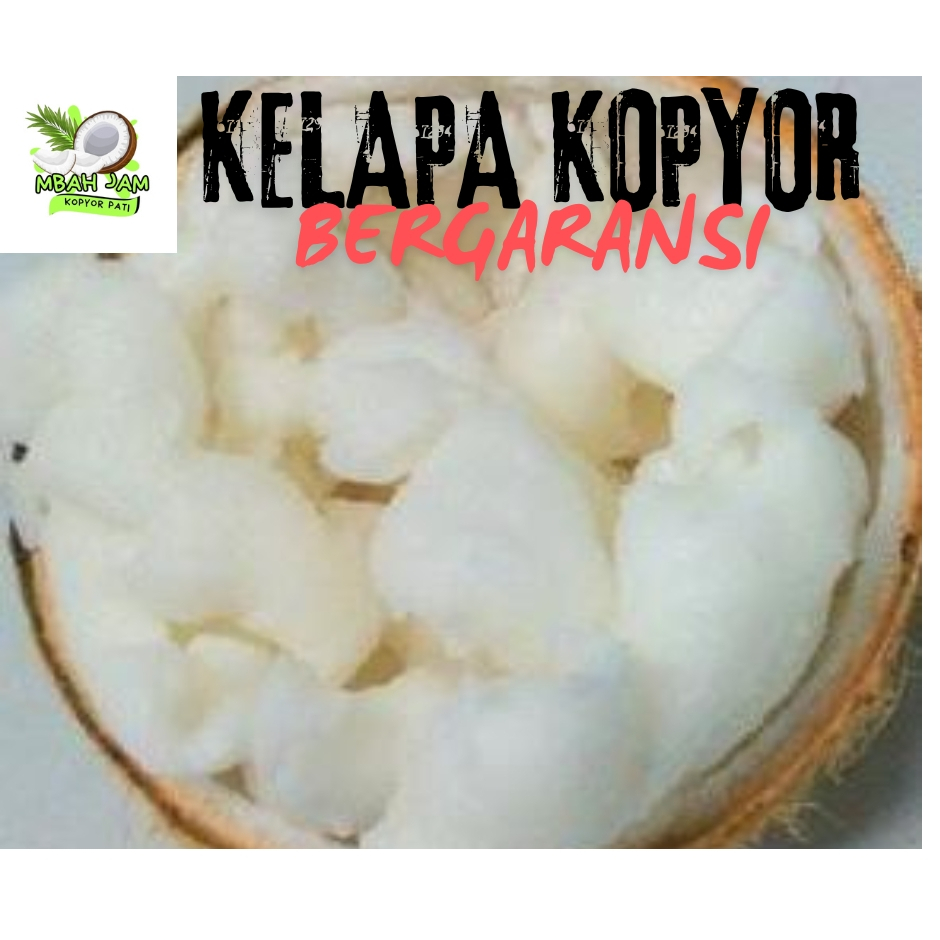 

kelapa Kopyor murah size 57-58 CM
