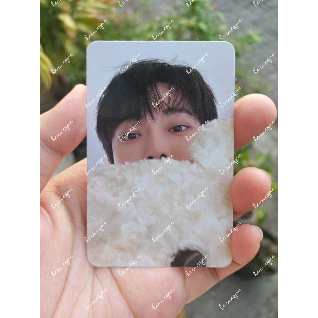 DOYOUNG BONEKA PHOTOCARD MD THE GREAT UNITY C VER.
