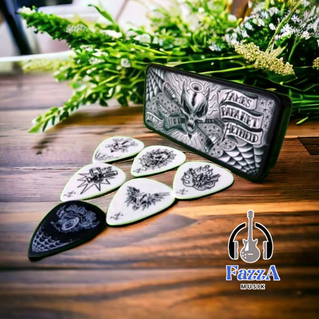 pick gitar dunlop set