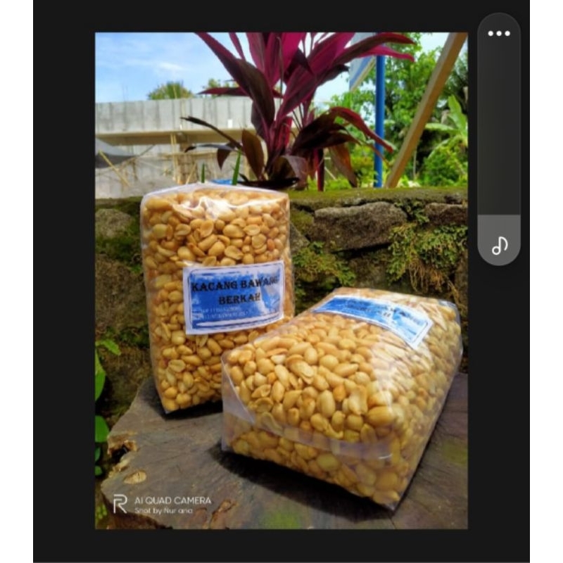 

KACANG BAWANG GORENG LOKAL CIREBON ISI 500 GRAM LOKAL CIREBON