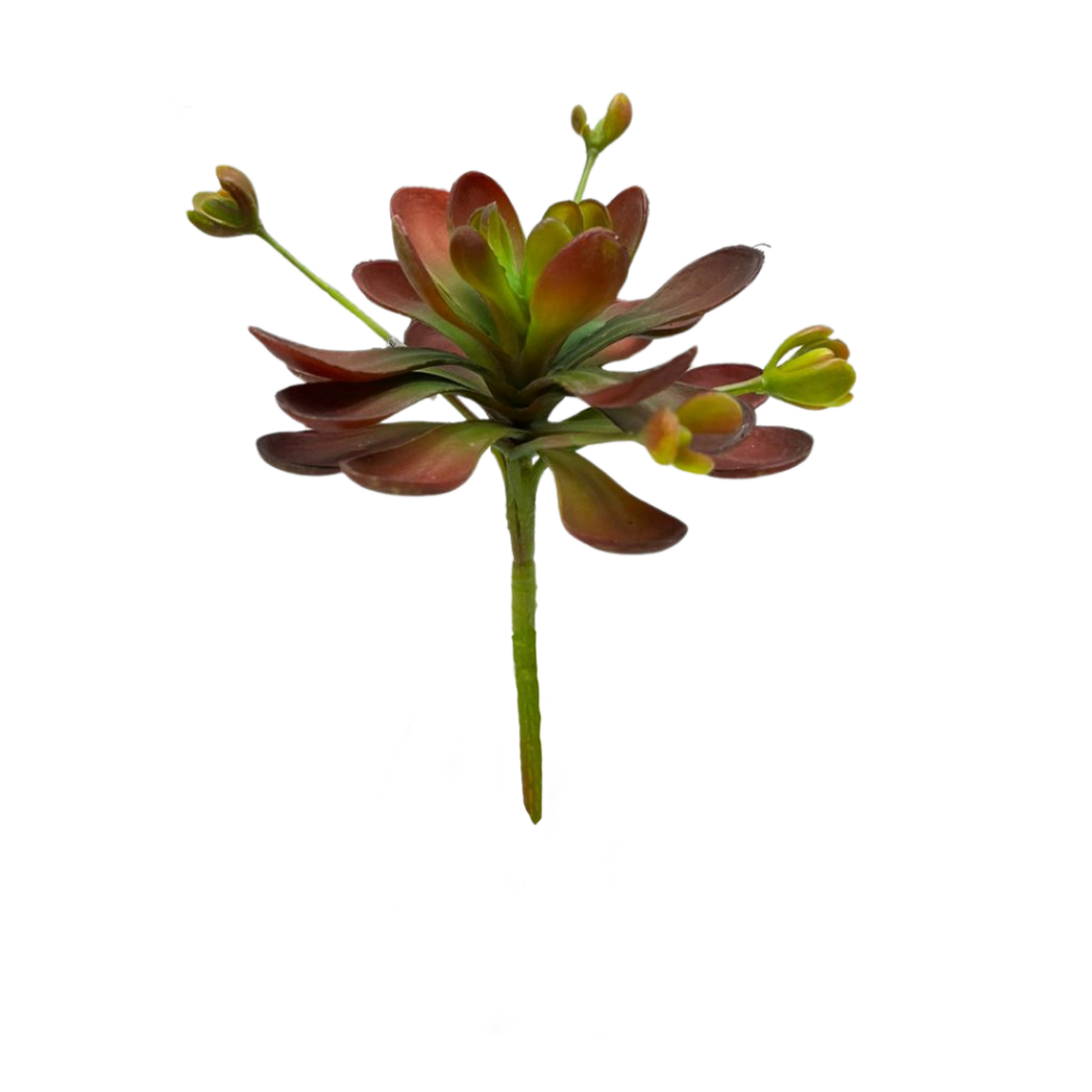 Kaktus BLUE LOTUS / Daun Kaktus / Kaktus Hias / Kaktus Palsu / Daun Hias