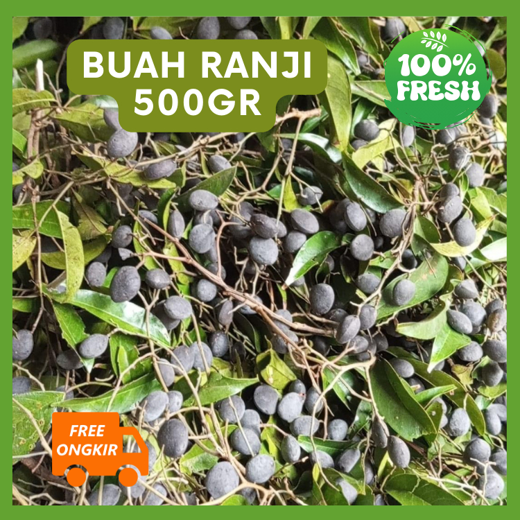 

Buah Keranji Asam Ranji Kranji buat obat 500 gram