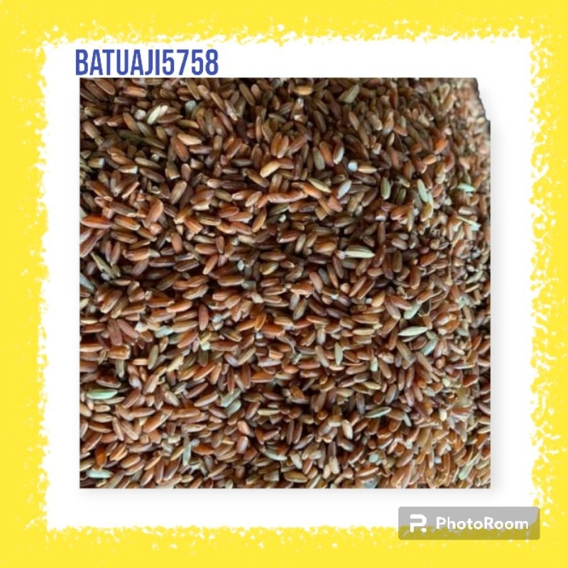 Beras Merah Pakan Ayam Bangkok Jago Repack  500g