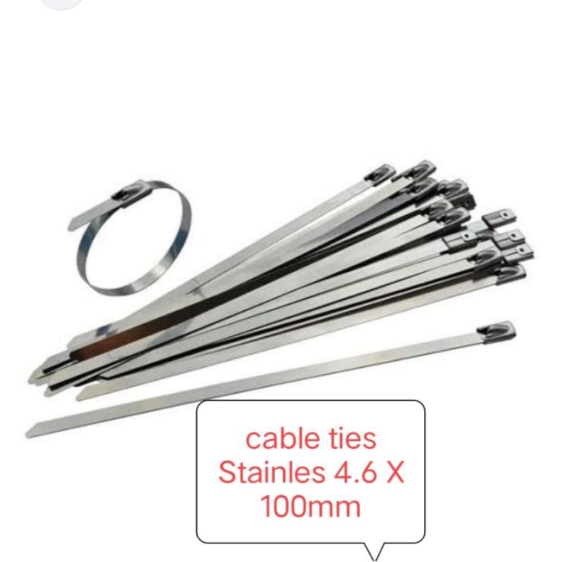 4.6* 100 stainless steel kabel ties/cable ties/kabel ties/dasi kabel