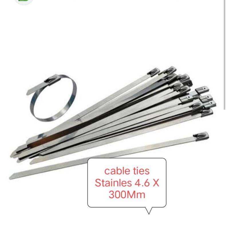 4.6* 300 stainless steel kabel ties/cable ties/kabel ties/dasi kabel