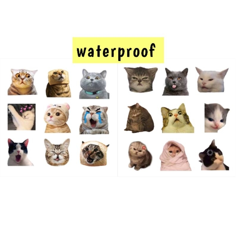Sticker meme kucing / sticker kucing lucu / sticker cat / sticker deco / sticker decoration