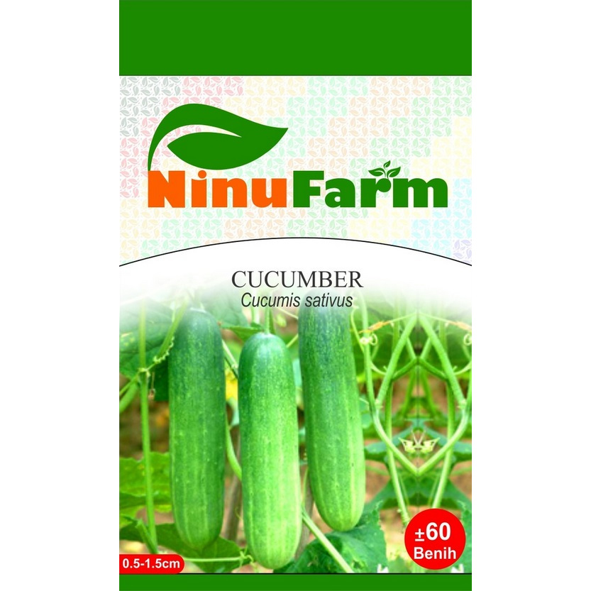 BENIH MENTIMUN LALAP - CUCUMBER - NINUFARM - 60 BUTIR