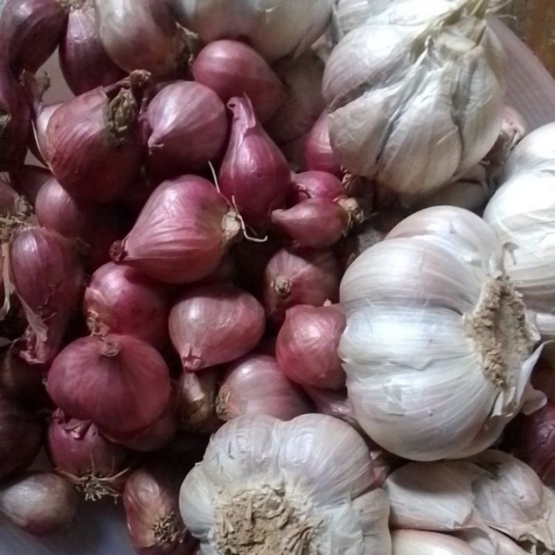 

paket bawang merah putih 1kg