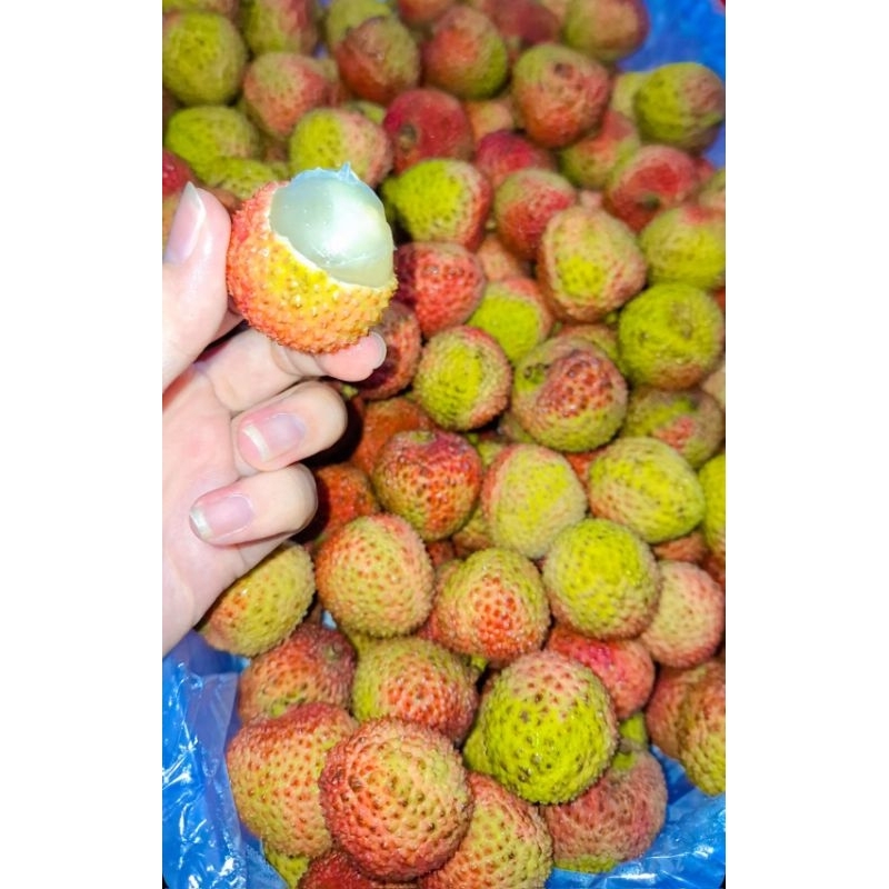 

Leci madu / Lychee madu ready stock