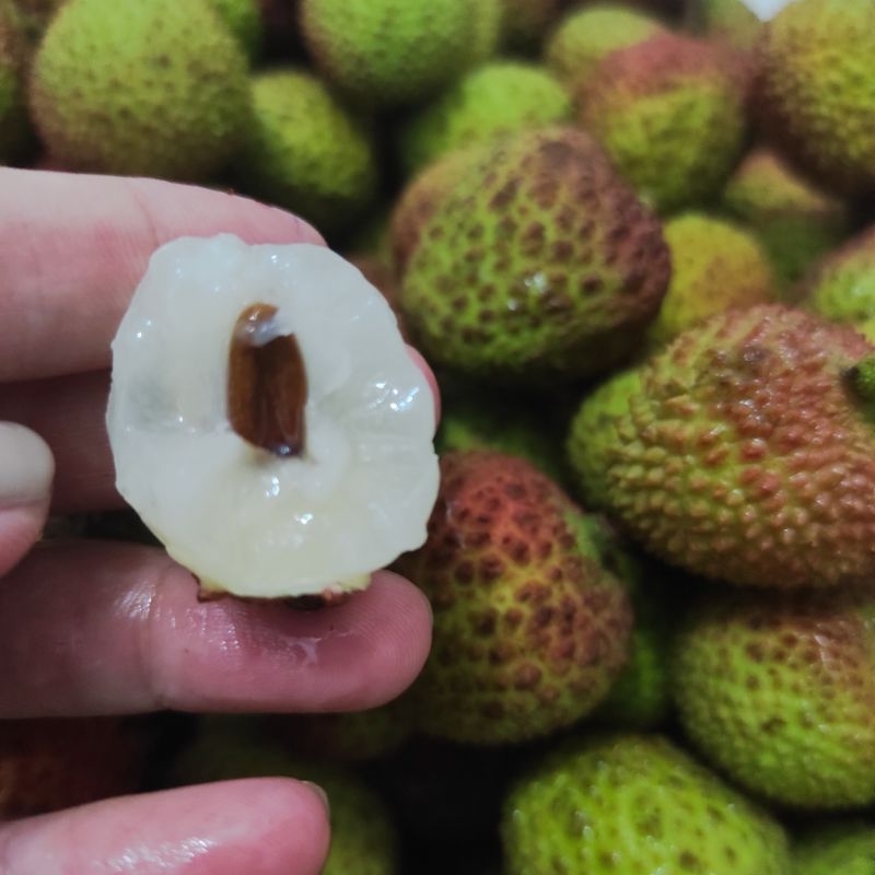 Buah Leci Madu