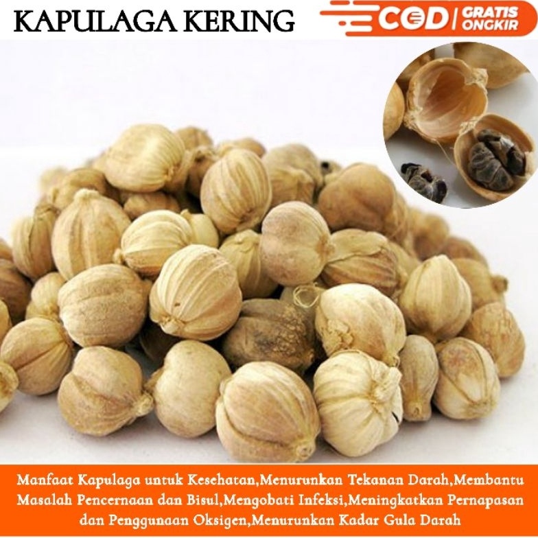 

Produk Terkini KAPULAGAKAPULOGO KERING 1G1KG FSB