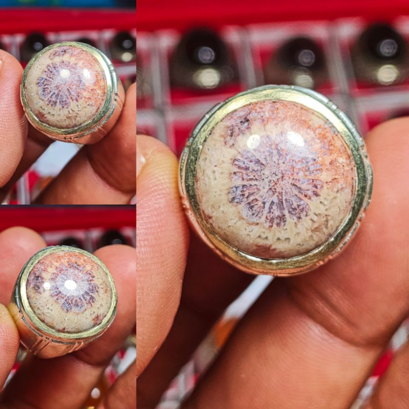 NATURAL TERATAI TUNGGAL KODE 03102