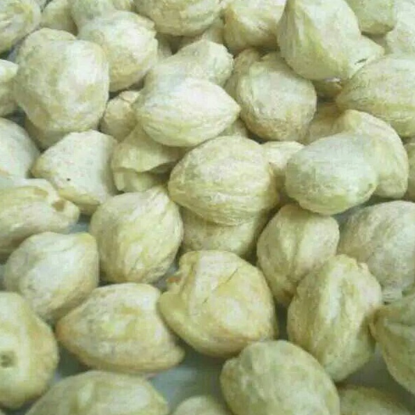 

Best Produk Kemiri Bulat per 12 kg R92
