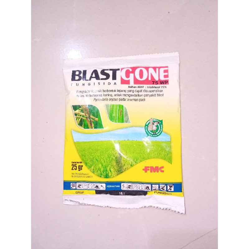 Fungisida BlastGone 75wp @25gr