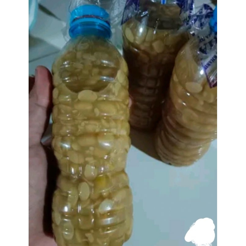 

TAUCO asli BELITUNG
