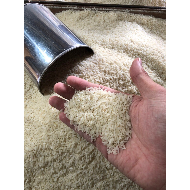 

BERAS PREMIUM, BERAS BANJAR SIYAM RUKUT