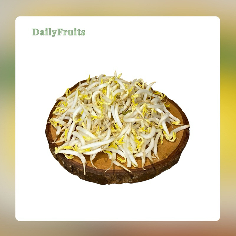 

Tauge Lokal Fresh 250 gr | DailyFruits